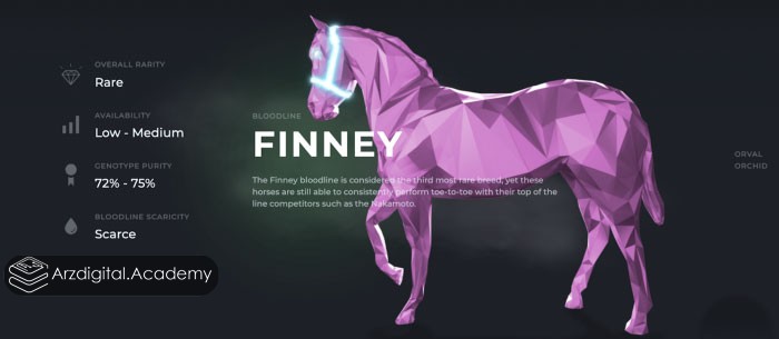 فینی (Finney)