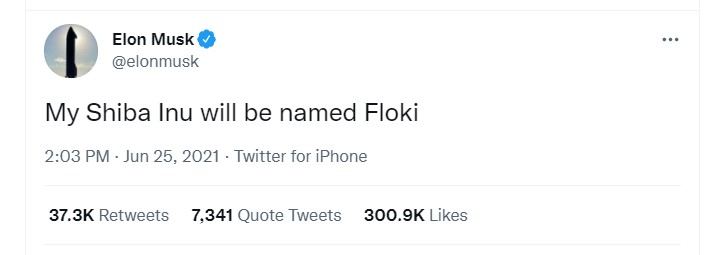 The History of FLOKI